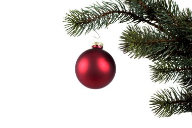 Kırmızı Top ile köknar ağacı