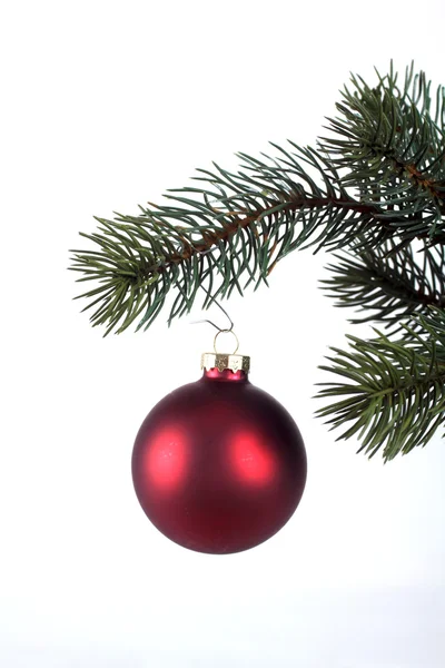 Fir tree with red ball — Stock Photo, Image