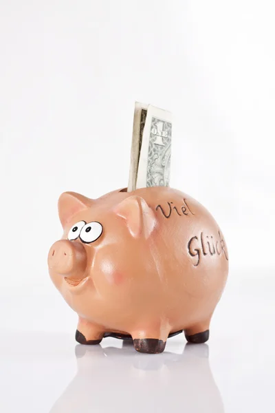 1 dolar ile Piggy banka — Stok fotoğraf