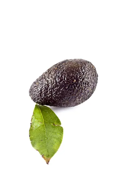 Avocado인터넷 연결을 통해 쇼핑. simle 라인 디자인 일러스트 레이 션 — Foto Stock