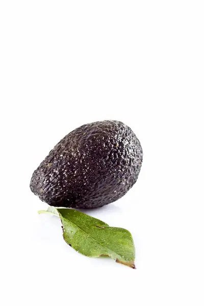 Avocado — Stock Photo, Image