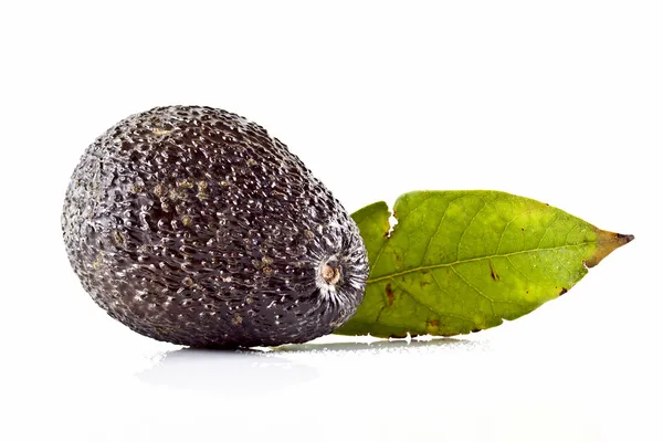 Avocado — Stock Photo, Image