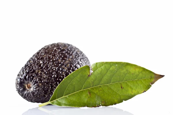 Avocado — Stock Photo, Image