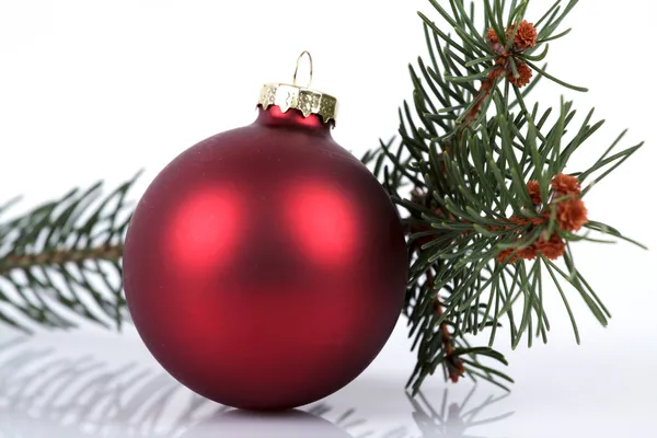 Red ball on fir branch Royalty Free Stock Photos