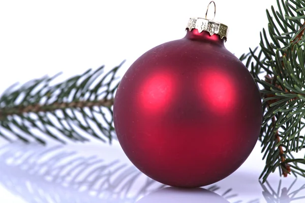 Red ball on fir branch Royalty Free Stock Images