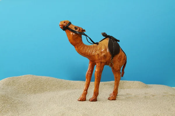 沙漠中的骆驼 图库图片
