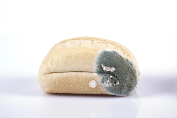 Μουχλιασμένο ψωμί — Φωτογραφία Αρχείου