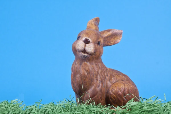 Conejo de Pascua —  Fotos de Stock