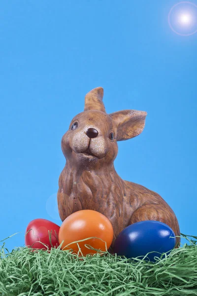 Paskalya Tavşanı — Stok fotoğraf