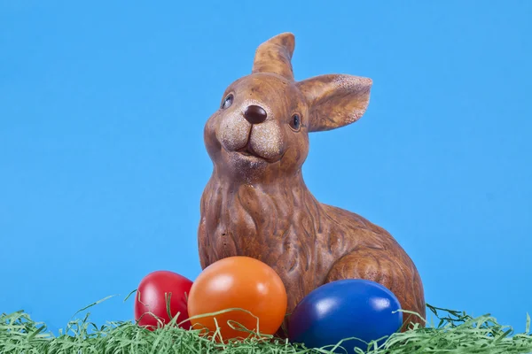 Conejo de Pascua — Foto de Stock