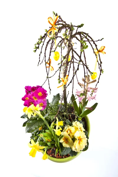 Цветок - горшок с различными цветами — стоковое фото