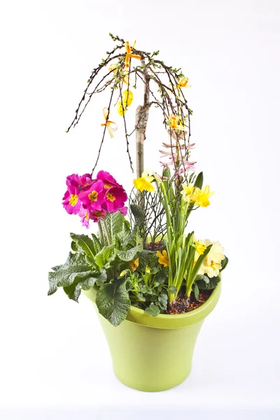 Bloem-pot met verschillende bloemen — Stockfoto