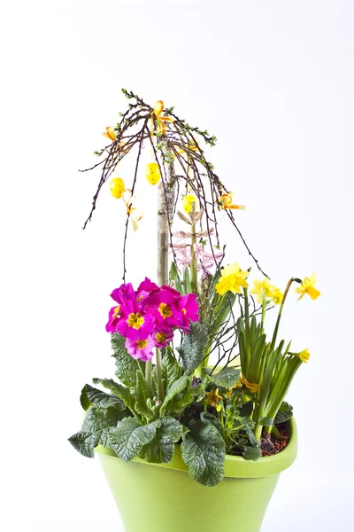 Florero-maceta con diferentes flores —  Fotos de Stock