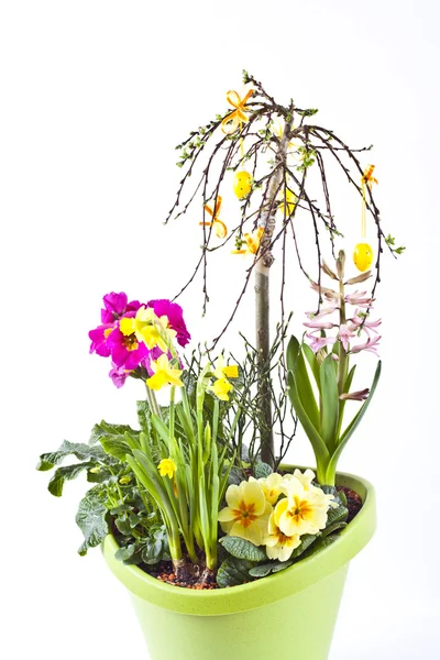Donica z różnych kwiatów — Zdjęcie stockowe