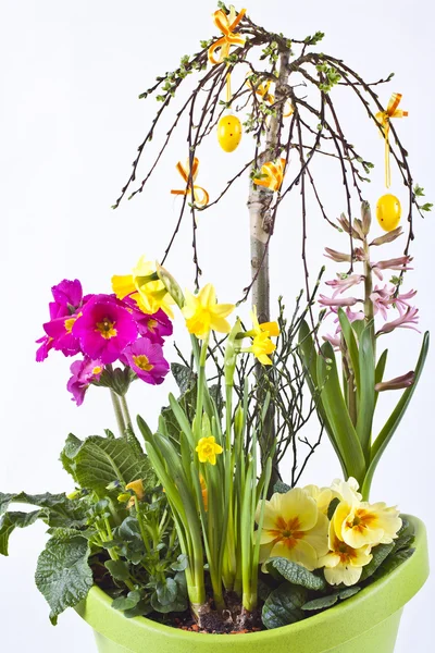 Fleur- pot avec différentes fleurs — Photo