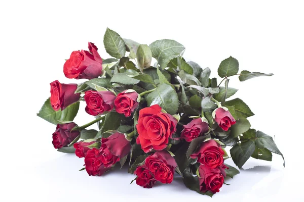 Rote Rosen — Stockfoto