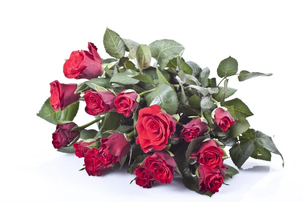 Rode rozen Rechtenvrije Stockfoto's