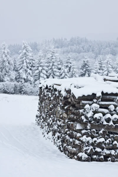 Vinterlandskap – stockfoto