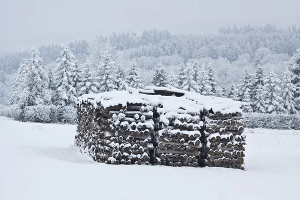 Paisaje invierno — Foto de Stock