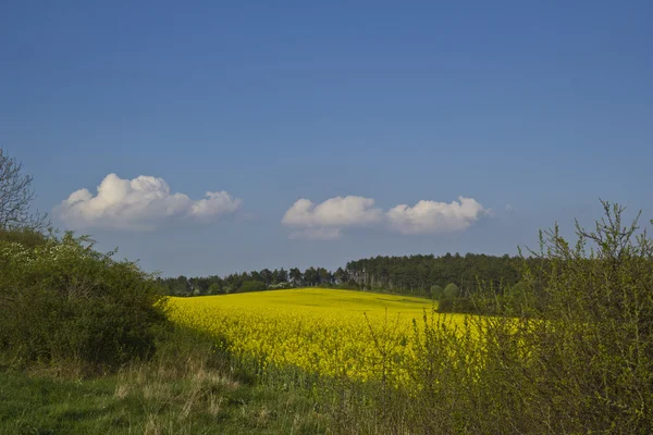 Znásilnění pole — Stock fotografie