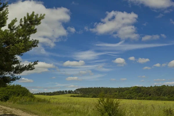 Landskap — Stockfoto