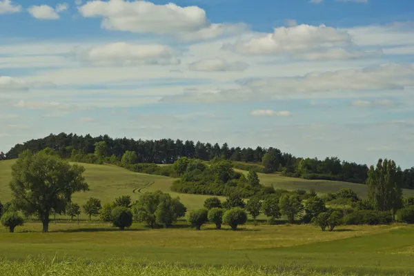 Landschap — Stockfoto