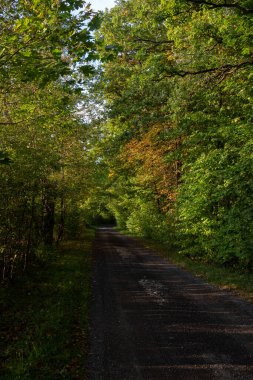Sonbahar elbisesi içinde manzara