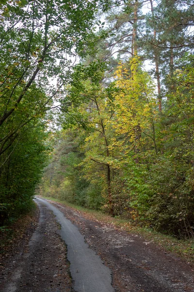 Landskap Höst Klänning — Stockfoto