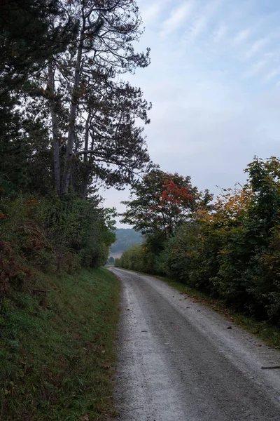 Landschaft Herbstkleid — Stockfoto