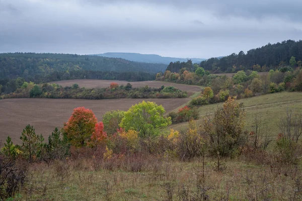 Paisaje Vestido Otoño — Foto de Stock