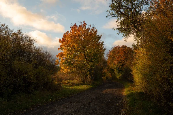 Paysage Robe Automne — Photo