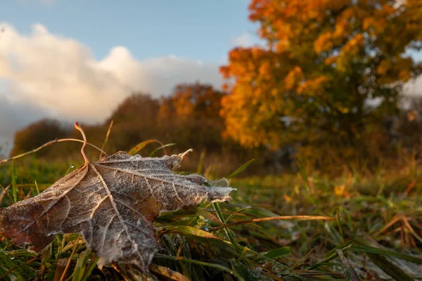 Paisaje Vestido Otoño — Foto de Stock