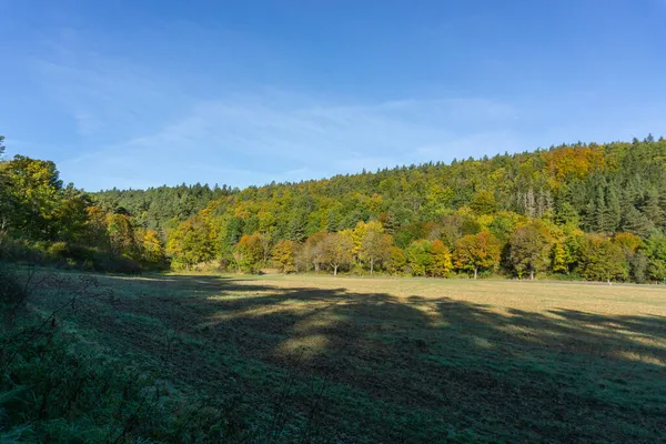 Paysage Robe Automne — Photo