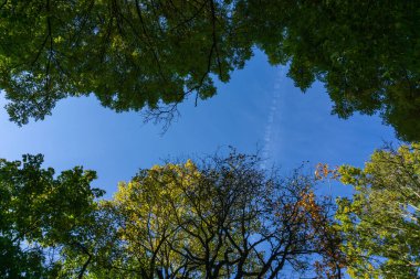 Sonbahar elbisesi içinde manzara