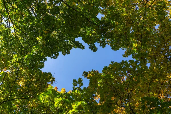 Landschaft Herbstkleid — Stockfoto