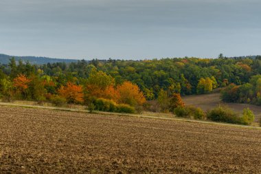 Sonbahar elbisesi içinde manzara