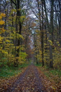 Sonbahar elbisesi içinde manzara