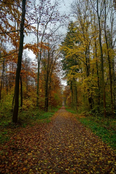 Paisaje Vestido Otoño — Foto de Stock