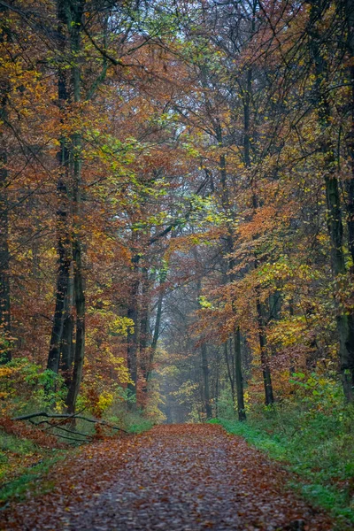 Пейзаж Осеннем Платье — стоковое фото