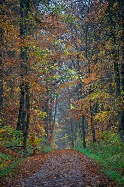 Landscape Autumn Dress — Stock Photo, Image