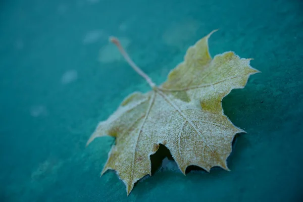 Landschap Herfstjurk — Stockfoto