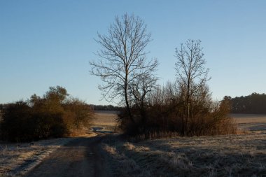 Sonbahar elbisesi içinde manzara