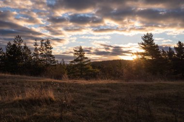 Sonbahar giysisiyle manzara