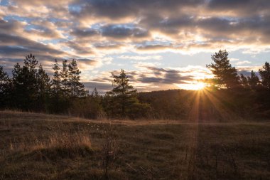 Sonbahar giysisiyle manzara
