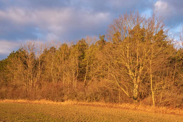 Paisagem Traje Outonal — Fotografia de Stock