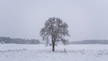 Kışlık giysiler içinde manzara