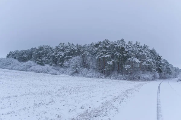 冬のガーブの風景 — ストック写真