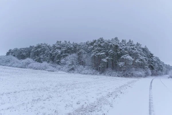 Paisaje Atuendo Invernal —  Fotos de Stock