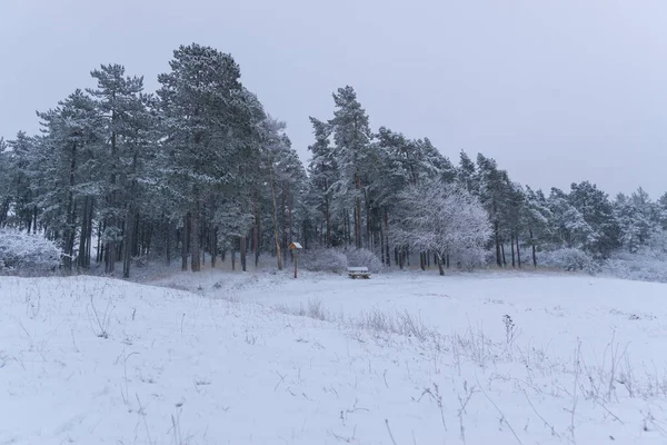 Krajobraz Wintry Garb — Zdjęcie stockowe