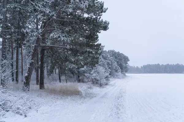 Landschaft Winterlichen Gewand — Stockfoto